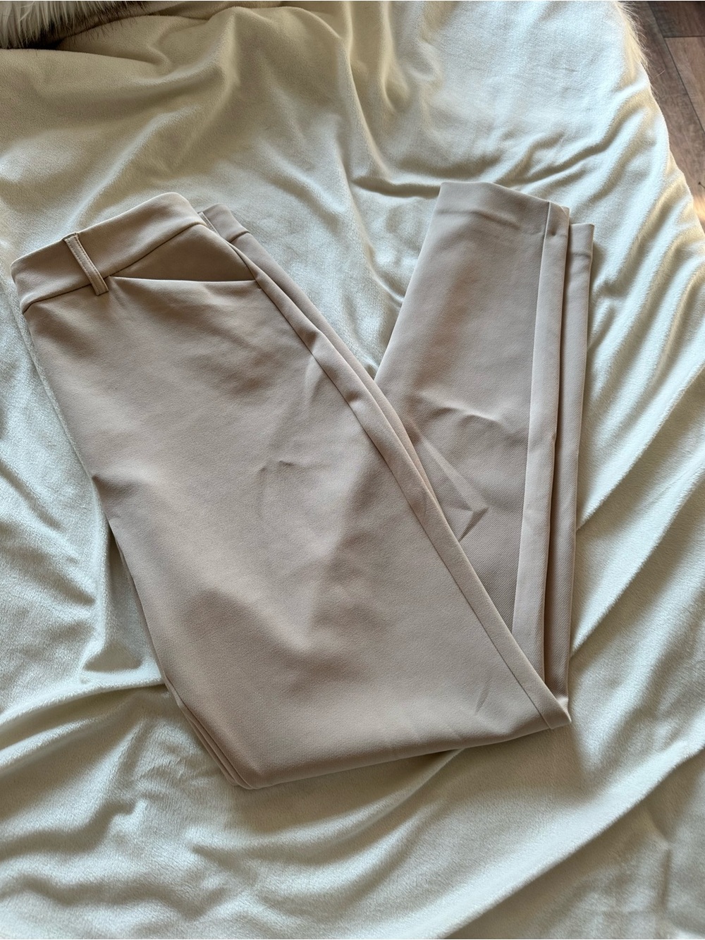 Express Editor Straight Leg Pants